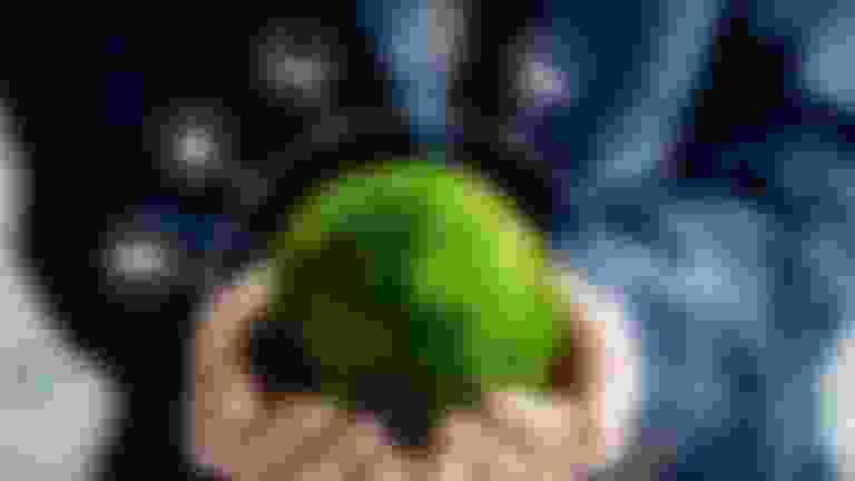 Hands holding a green grass ball with icons above it.