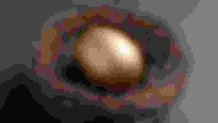 A golden egg in a nest.