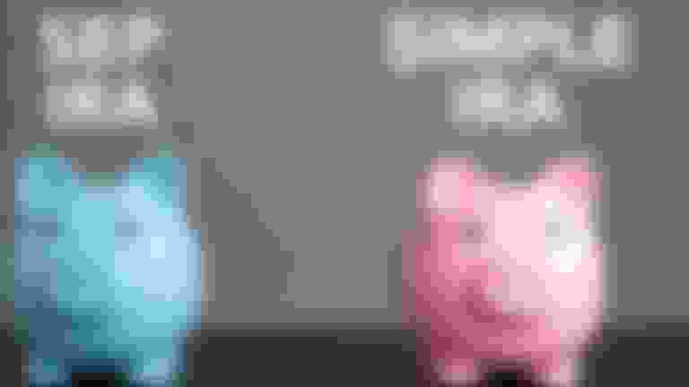 Blue and pink piggy banks.