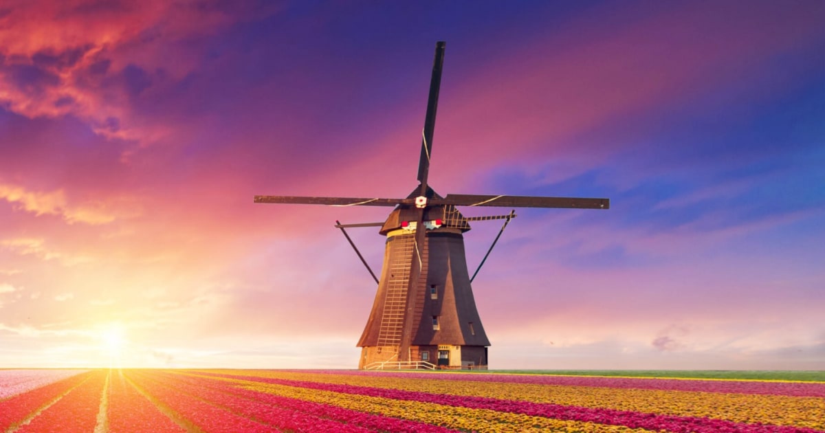Holland’s spring must-sees | Tzinberg & Associates, P.C. | Tzinberg ...