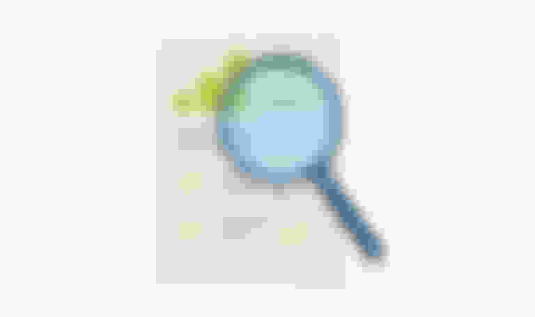 magnifying glass over report