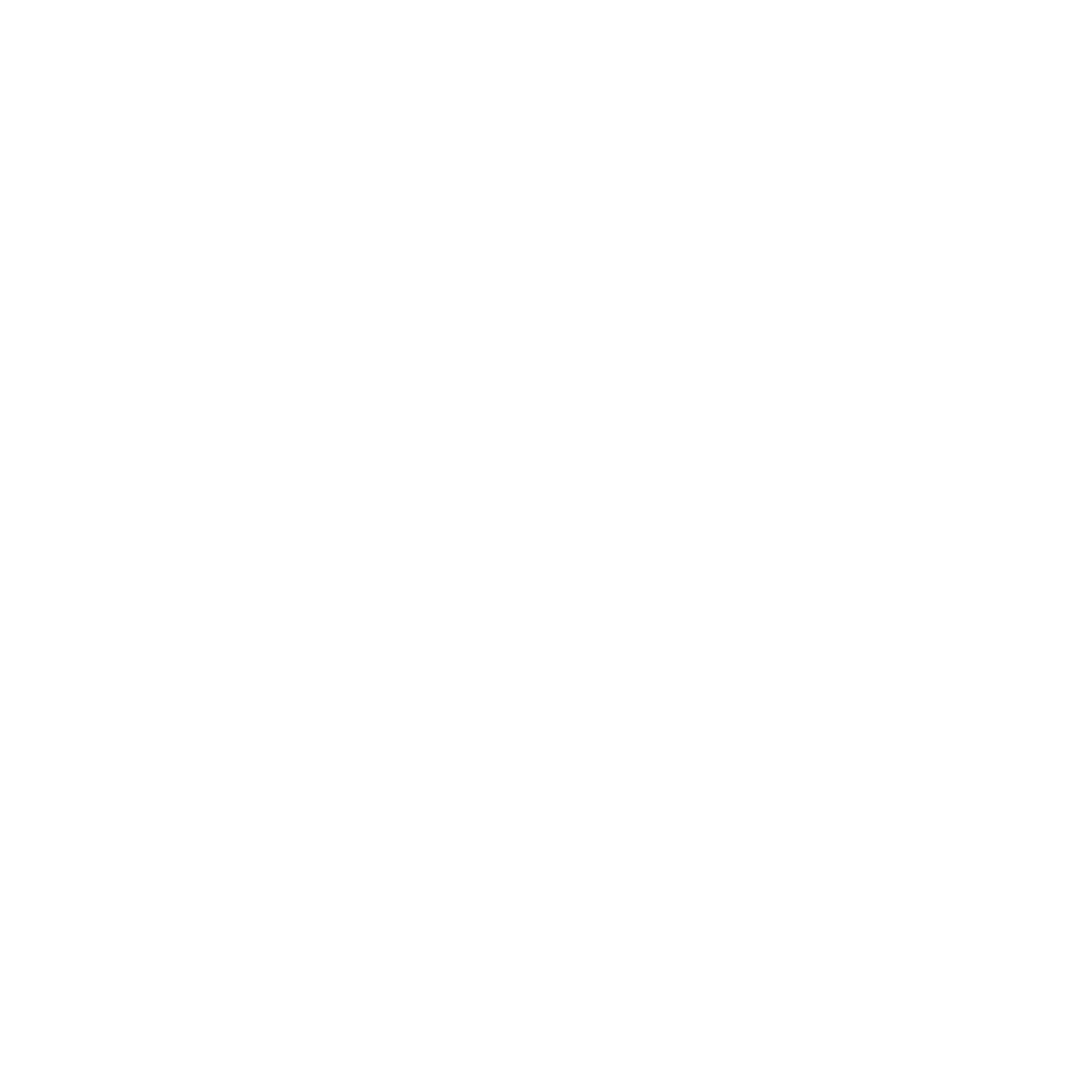 Fractional CFO Services