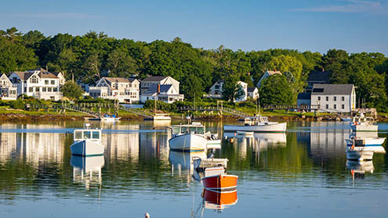 A harbor with houses along the shore and multiple anchored boats.