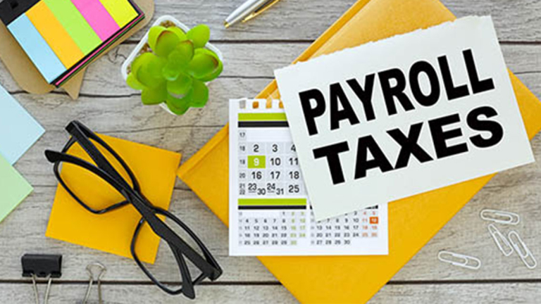 Book, post-its, paper clips, glasses, a plant, calculator, and pen on a table.