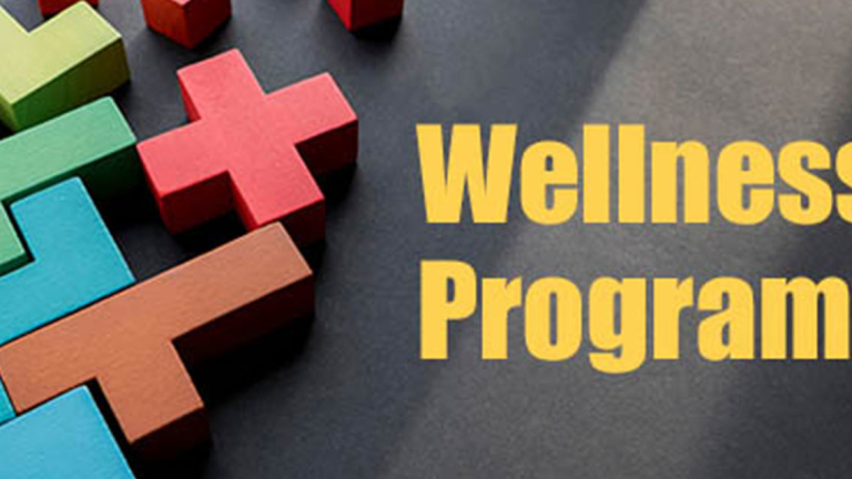 Wellness Program blog pre