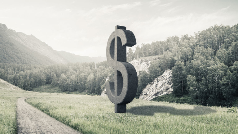 A dollar sign in the forest.