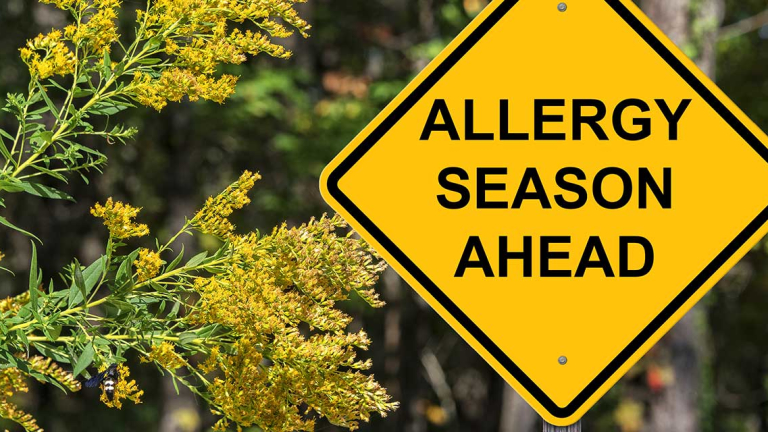 Road sign saying Allergy Season Ahead
