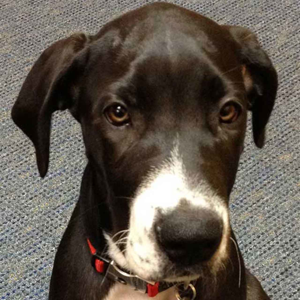 Who We Are Rosenfeld & Company PC