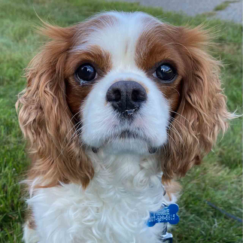 Who We Are The Swanson Group, LLC