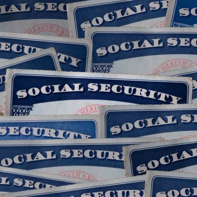 closeup of many US social security # cards