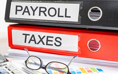 Binders that read Payroll and taxes.