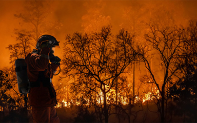 A firefighter fighting a wildfire.