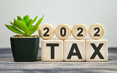 A plant next to wooden blocks that say 2022 Tax.