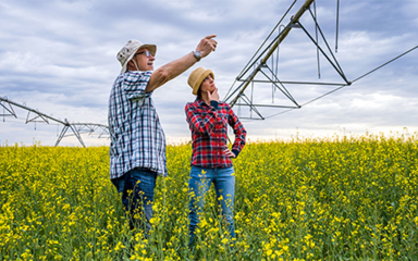 A man and woman in a field of flowers looking up at a large irrigation system.