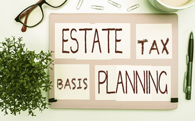 Plant, pen, paper clips, glasses and a board with writing on it.