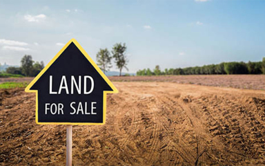 Dirt, trees and a sign on a span of land.