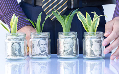 Jars with paper bills and plants in them.