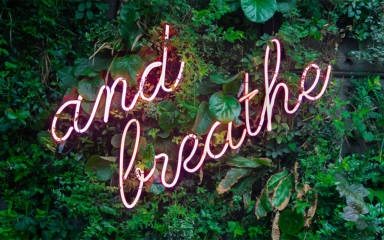 Vegetation and a neon sign.