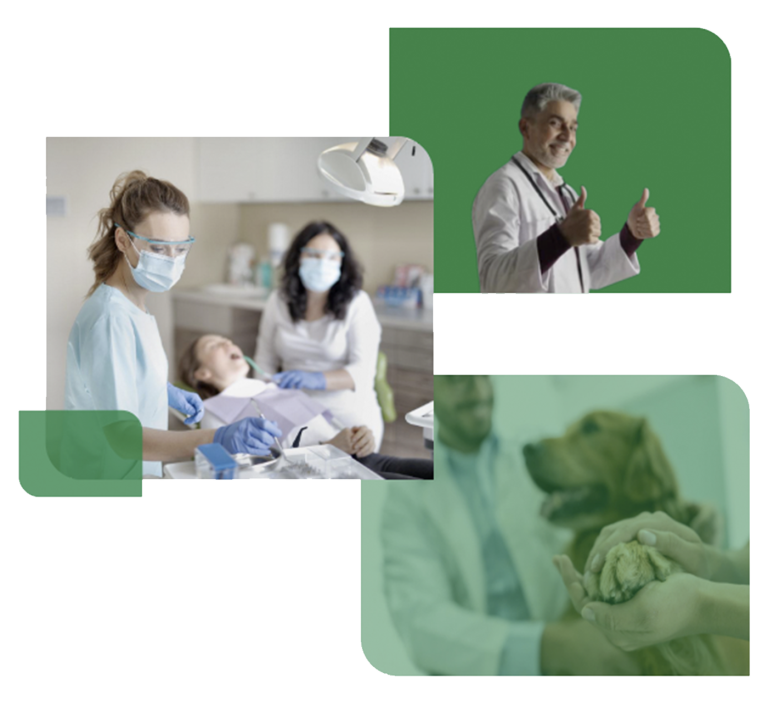 Dentists, patients and a vet with a dog.