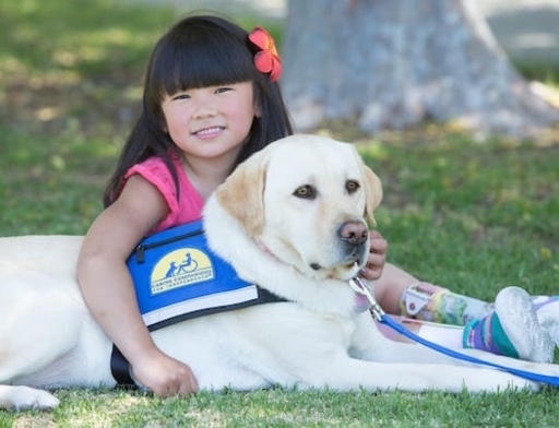 Kid with a canine companion