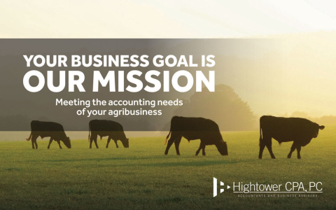 Cows grazing in a field.