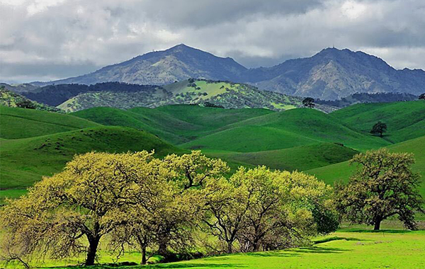 Scenic landscape with mountains