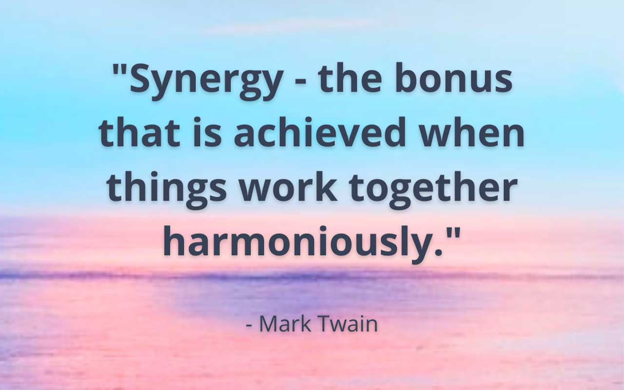 Synergist quote