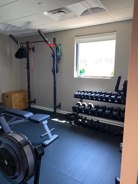 Workout bench, dumbbells, exercise rack & bike.