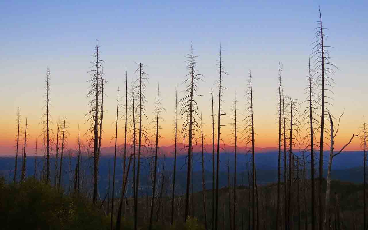 San Juan National Forest