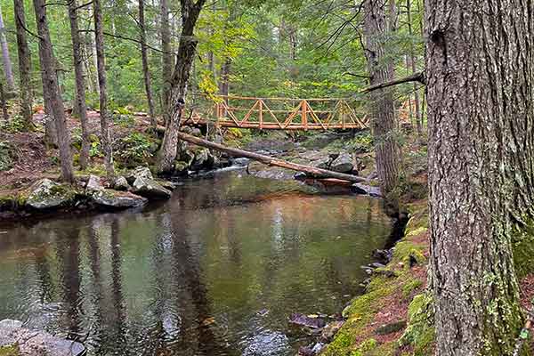 Willey Brook Watershed