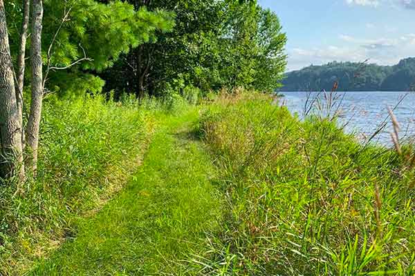 Great Meadow Trail