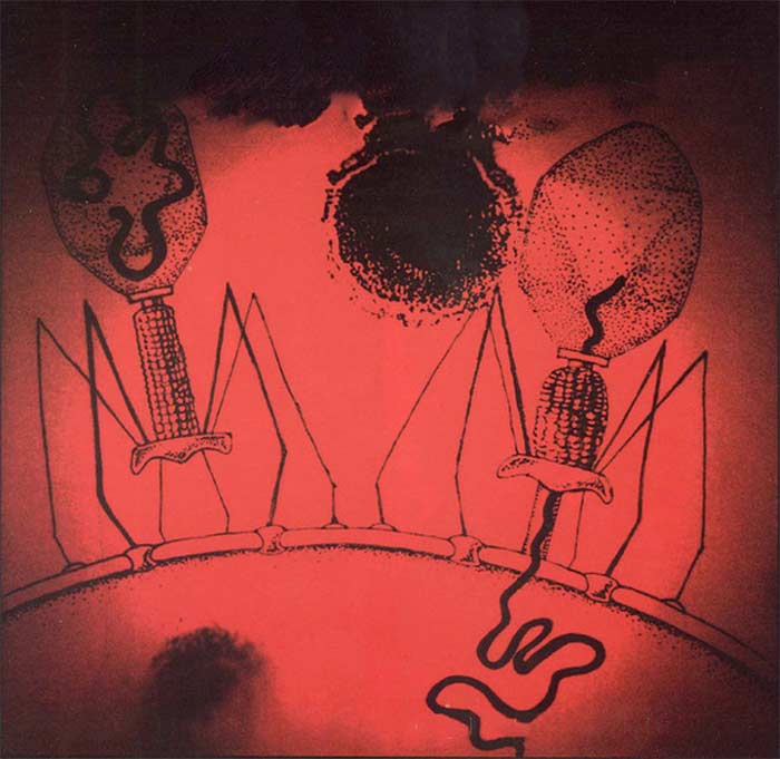 Album cover for BOB: Complex Organism Blues, looks like 2 corncob aliens, with one impregnating the planet