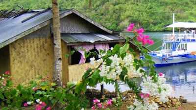 Ofrglmligt -liv p Filippierna!