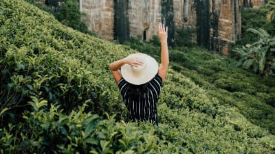 Gruppresa till Sri Lanka