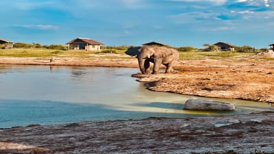 Sydafrika till Kenya