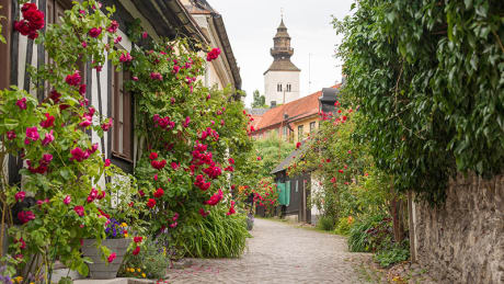 Weekendresa till norra Gotland