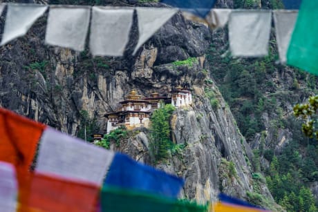 Bhutan, Bangladesh, Indien, Qatar