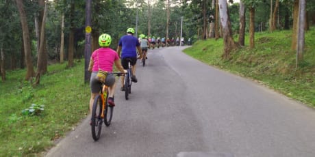 Cykelresa till indiska Kerala & Karnataka 50+