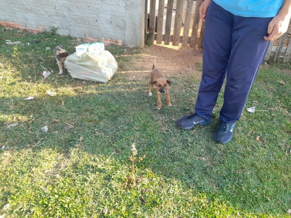 1734355178whatsapp-image-2024-12-16-at-10