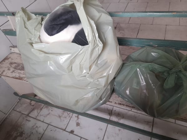 1734375692whatsapp-image-2024-12-16-at-15