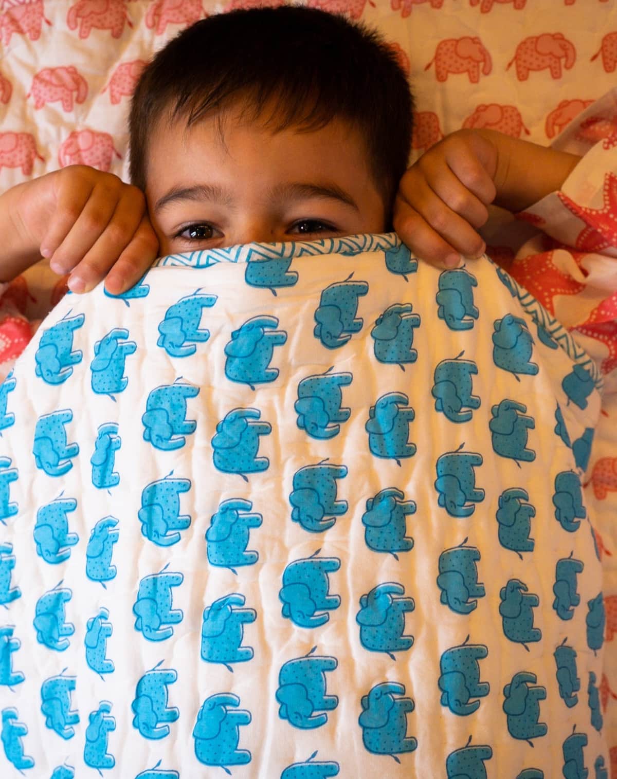 The Almirah Handmade Cotton Elephant Quilt in Blue