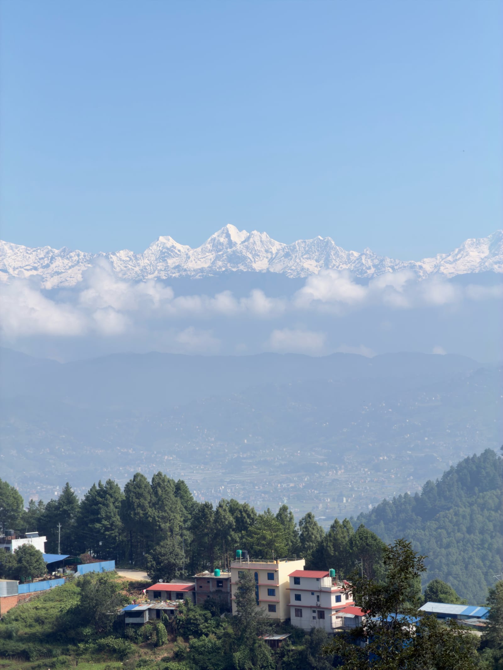 Crisp view of snow-capped snow mountains above cloud layer with pine forest and buildings in foreground