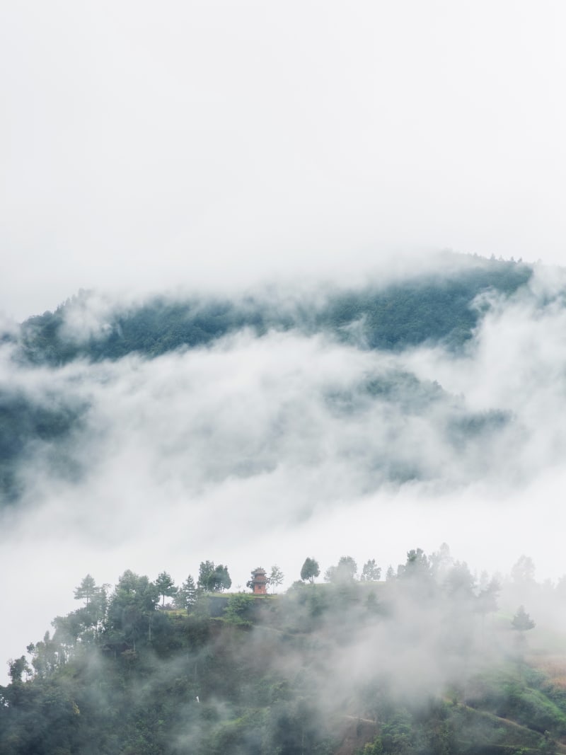 Small traditional temple perched on a tree-lined ridge enveloped in low white fog and cloud layers
