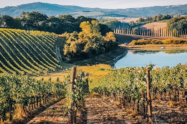 Italienischer Roséwein