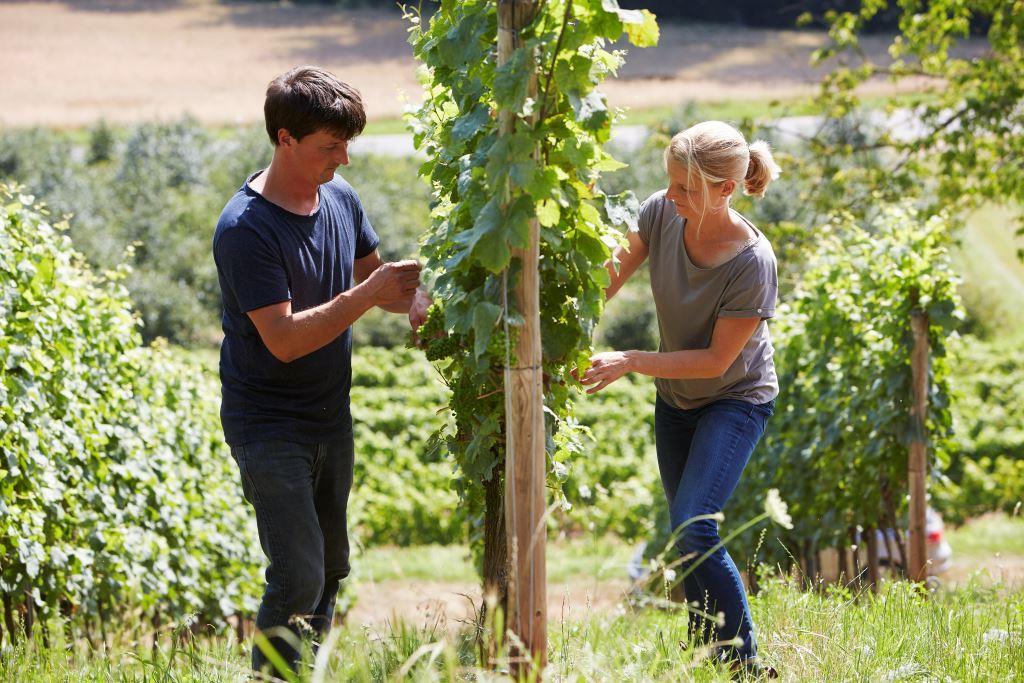 Weingut Bäder