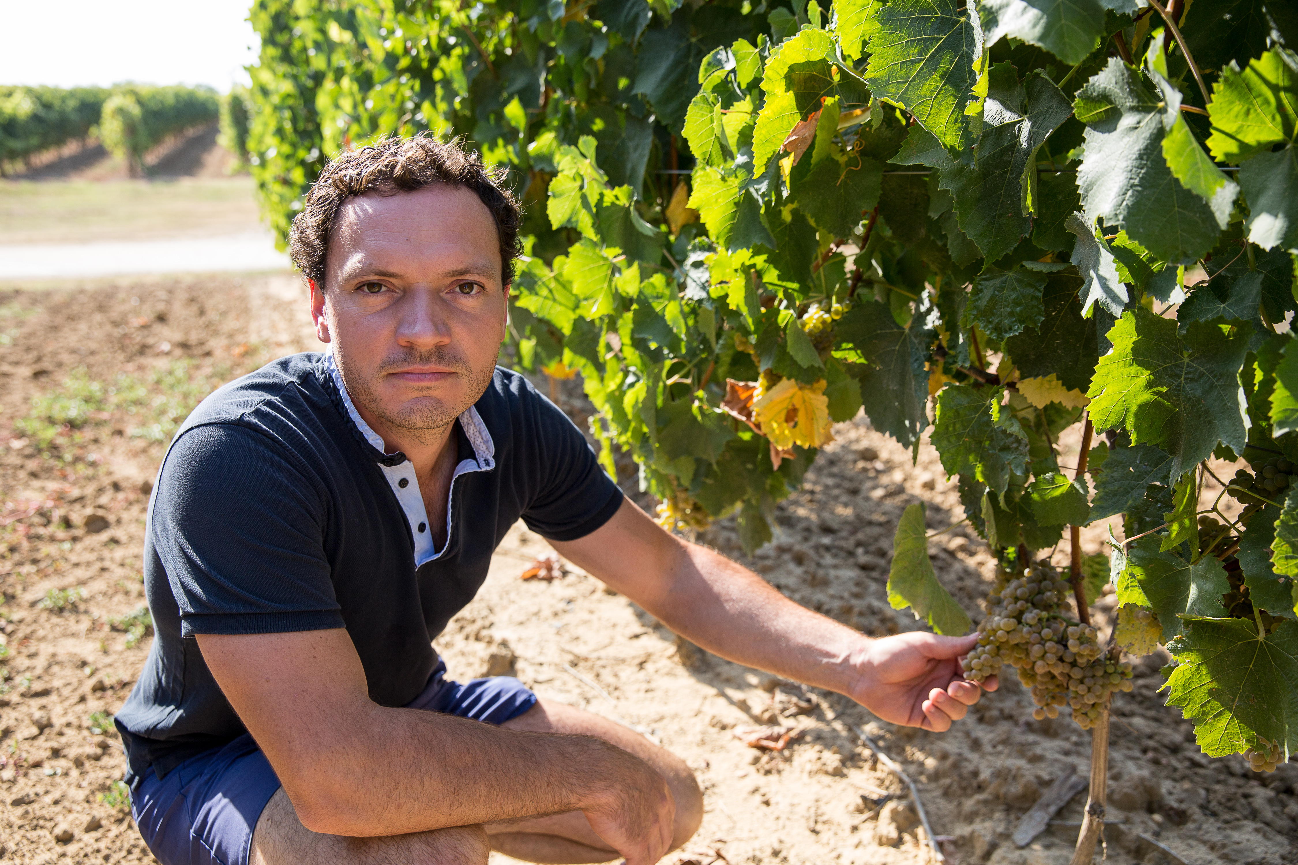 Weingut des Monats: Domaine Horgelus