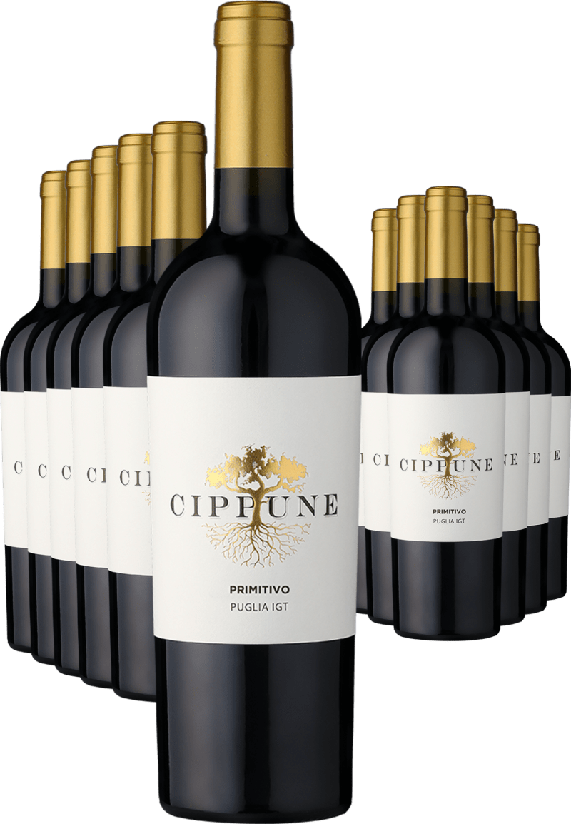 6+6-PAKET Cippune Primitivo 2025 (12 × 0,75 l)