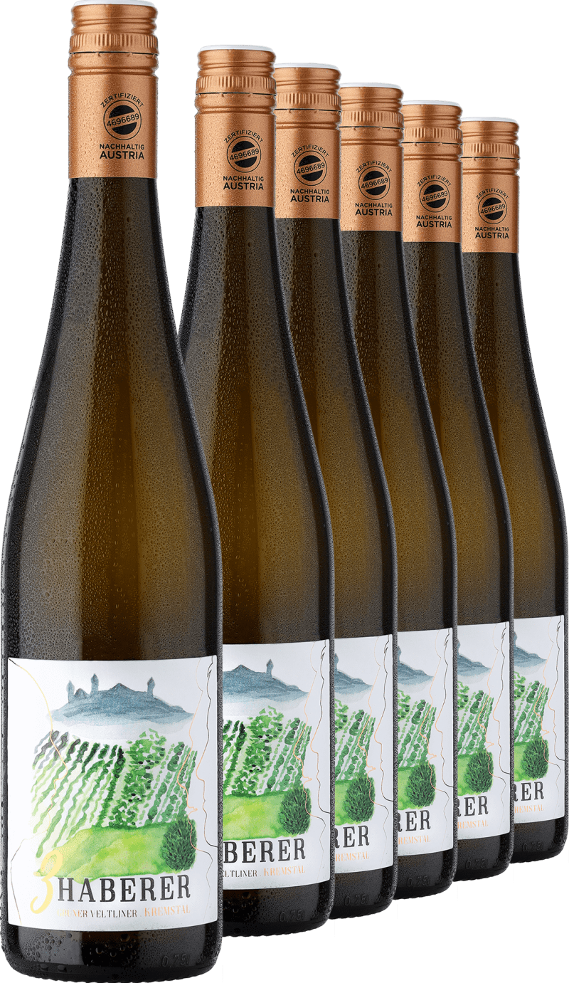 2024 Müller »3 Haberer« Grüner Veltliner im 6er-Vorratspaket (4,5 l)