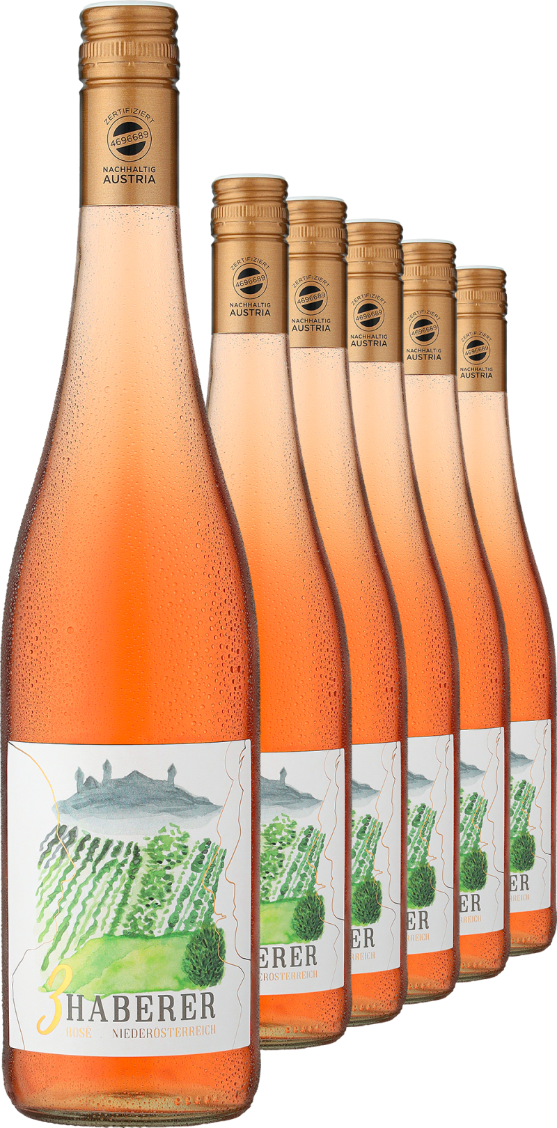 2025 »3 Haberer« Rosé im 6er-Vorratspaket (4,5 l)