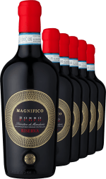 2021 Magnifico Fuoco Primitivo di Manduria Riserva im 6er-Vorratspaket